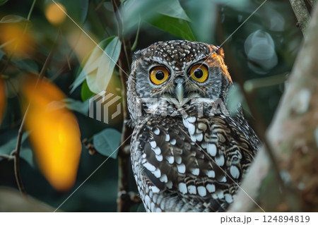 Majestic Owl in Enchanted Misty Forest with Lush Greenery and Illuminated Leaves 124894819