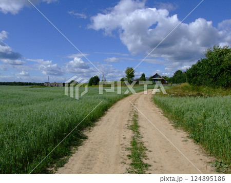 A rural road is the way to a quiet Russian village surrounded by fields A rural road is the way to a quiet Russian village surrounded by fields 124895186