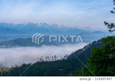 【雲海素材】長峰山から見る初夏の安曇野市の雲海【長野県】 124895467