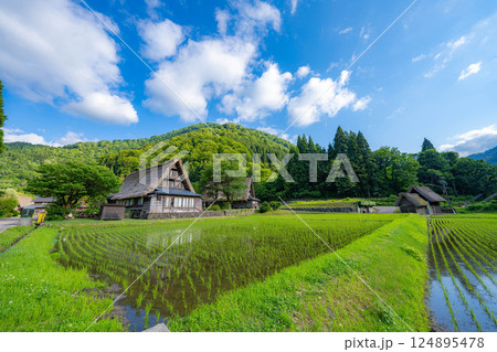 【世界遺産】初夏の五箇山・菅沼合掌造り集落【富山県】 124895478