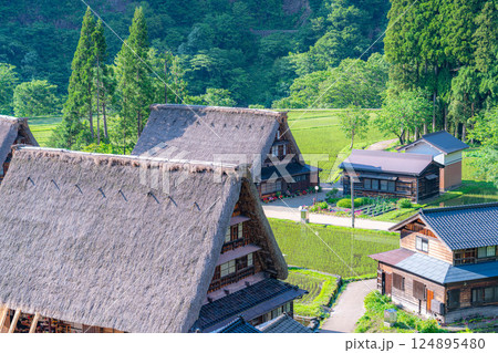 【世界遺産】初夏の五箇山・菅沼合掌造り集落【富山県】 【世界遺産】初夏の五箇山・菅沼合掌造り集落【富山県】 124895480