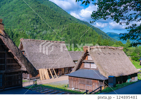 【世界遺産】初夏の五箇山・菅沼合掌造り集落【富山県】 【世界遺産】初夏の五箇山・菅沼合掌造り集落【富山県】 124895481