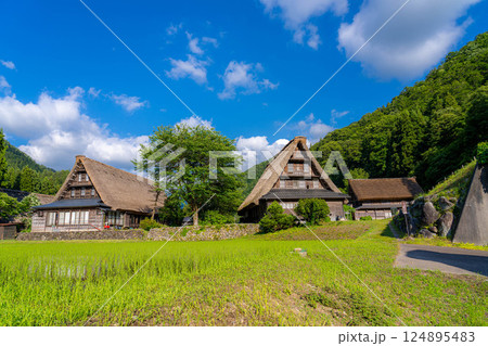 【世界遺産】初夏の五箇山・菅沼合掌造り集落【富山県】 124895483