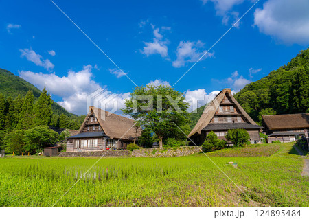 【世界遺産】初夏の五箇山・菅沼合掌造り集落【富山県】 124895484