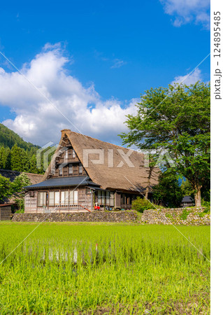 【世界遺産】初夏の五箇山・菅沼合掌造り集落【富山県】 【世界遺産】初夏の五箇山・菅沼合掌造り集落【富山県】 124895485