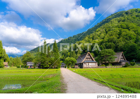 【世界遺産】初夏の五箇山・菅沼合掌造り集落【富山県】 124895488