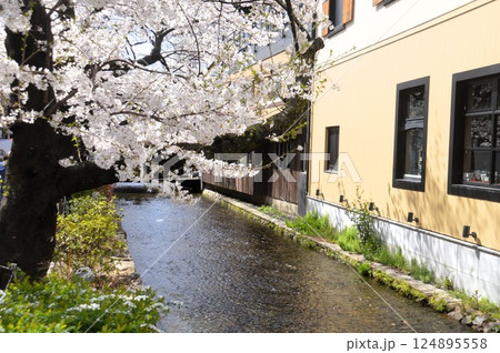京都・高瀬川 124895558
