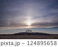 早春の北海道の夕方　日暈に包まれたはるにれの木 124895658