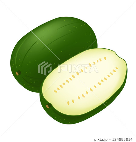 冬瓜 冬瓜 124895814