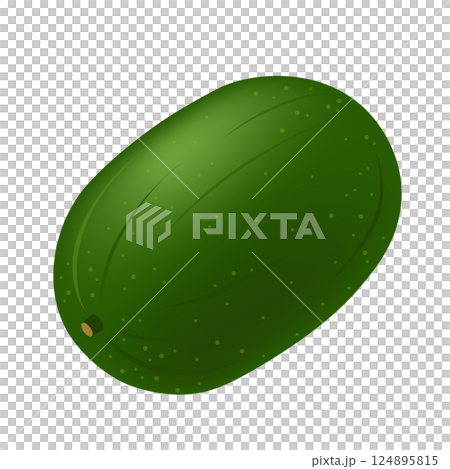 Winter melon icon 124895815