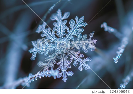 Close Up of Detailed Snowflake on Blue Frosty Background 124896048