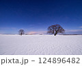 冬の北海道　雪原に立つはるにれの木 124896482
