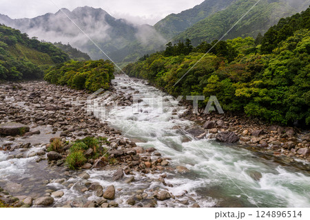 新緑と川霧 宮之浦川渓谷 洋上アルプス屋久島 新緑と川霧 宮之浦川渓谷 洋上アルプス屋久島 124896514