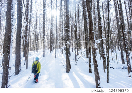 スノーシュートレッキングのイメージ(恩原湖周辺) スノーシュートレッキングのイメージ(恩原湖周辺) 124896570