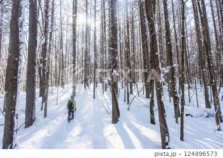 スノーシュートレッキングのイメージ(恩原湖周辺) スノーシュートレッキングのイメージ(恩原湖周辺) 124896573