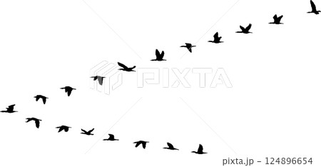 V formation V formation 124896654