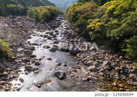 新緑 宮之浦川渓谷 洋上アルプス屋久島 新緑 宮之浦川渓谷 洋上アルプス屋久島 124896694
