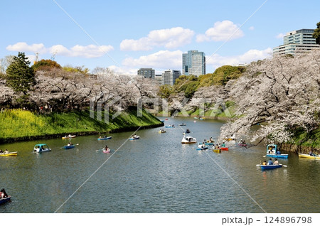 桜満開の東京千鳥ヶ淵 124896798