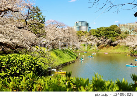 桜満開　深緑の千鳥ヶ淵 124896829