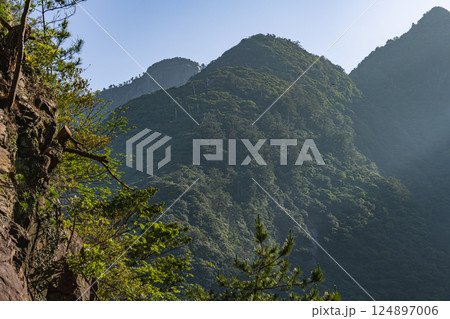 新緑若葉と斜光 急峻な山 世界自然遺産屋久島 新緑若葉と斜光 急峻な山 世界自然遺産屋久島 124897006