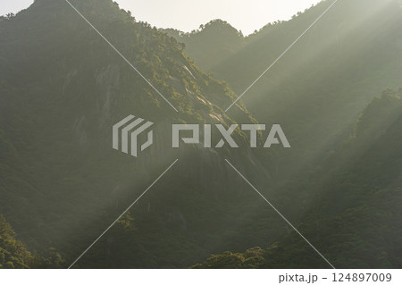 斜光 まるで水墨画 世界自然遺産屋久島(春 斜光 まるで水墨画 世界自然遺産屋久島(春 124897009