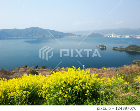 笠戸島・夕映えの丘と菜の花 124897076