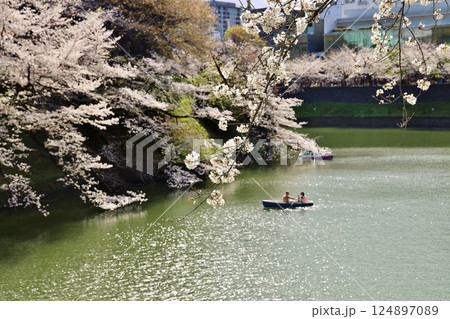 桜満開の千鳥ヶ淵とボート 124897089