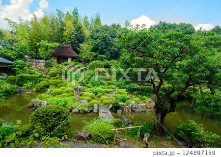京都　等持院の庭園と茶室　清漣亭 124897159