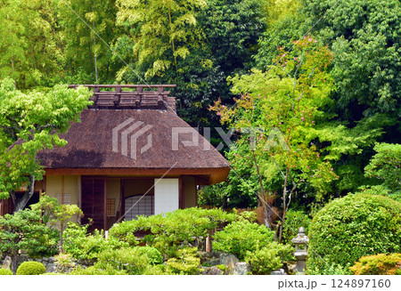京都 等持院の庭園と茶室 清漣亭 京都 等持院の庭園と茶室 清漣亭 124897160