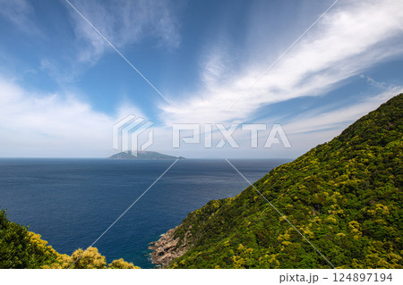 春の青空 西部林道地域 世界自然遺産屋久島 春の青空 西部林道地域 世界自然遺産屋久島 124897194