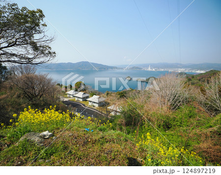 笠戸島・夕映えの丘と菜の花 124897219