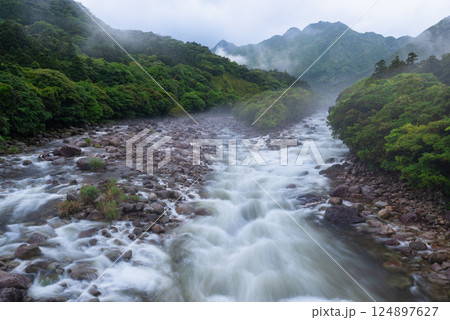 川霧　宮之浦川渓谷　洋上アルプス屋久島(春 124897627