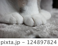 もふもふ猫足 124897824
