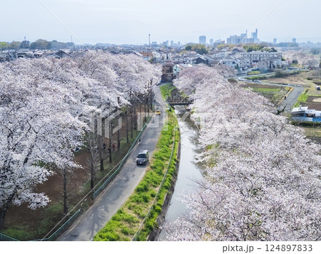 空撮「埼玉県」ドローンで見沼田んぼの桜回廊を撮影 124897833