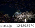 ライトアップされた桜と城 124898570