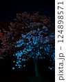 青く染まるソメイヨシノ 124898571