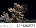 月と夜桜 124898572