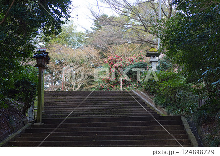 春まじかの足羽神社 春まじかの足羽神社 124898729