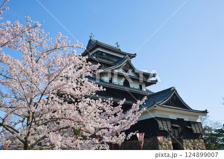 〈島根県〉春の松江城　桜に囲まれた天守閣 124899007