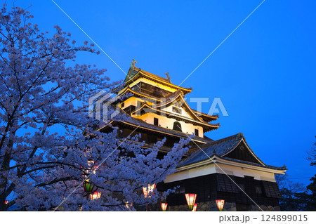 〈島根県〉春の松江城 夜桜 〈島根県〉春の松江城 夜桜 124899015