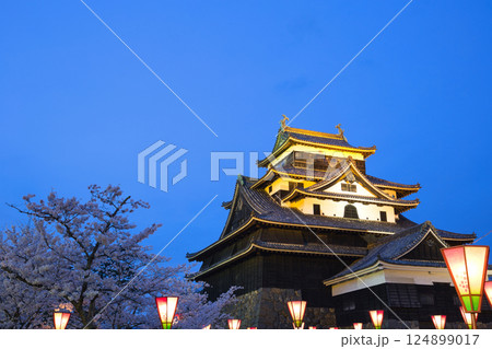 〈島根県〉春の松江城　夜桜 124899017