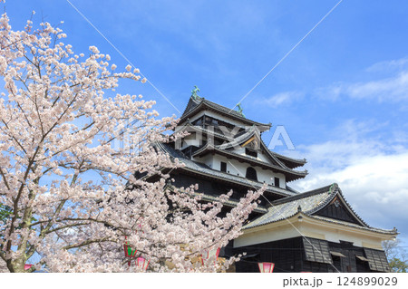 〈島根県〉春の松江城　桜に囲まれた天守閣 124899029