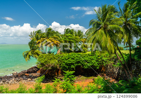 Lush palm trees on Saint Joseph Island, part of the Salvation Islands in French Guiana, South America Lush palm trees on Saint Joseph Island, part of the Salvation Islands in French Guiana, South America 124899086