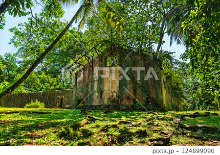 Old ruins of notorious penal colony in Saint Joseph Island, Salvation Islands, French Guiana, South America 124899090