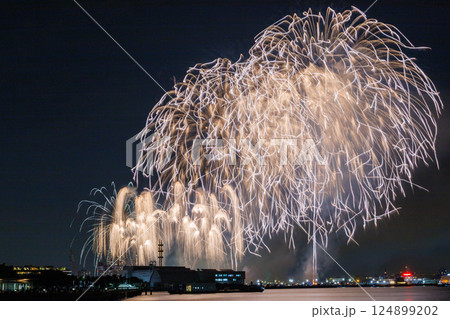 夜空を覆う光のシャワー 124899202