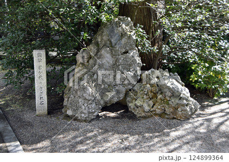 国歌 君が代のさざれ石 124899364