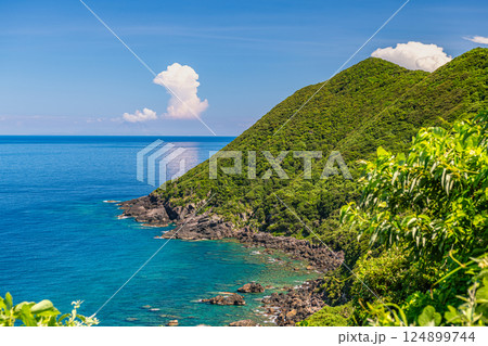 屋久島洋上アルプスの絶景(7月)夏の日差しに映えるせんろく鼻 124899744