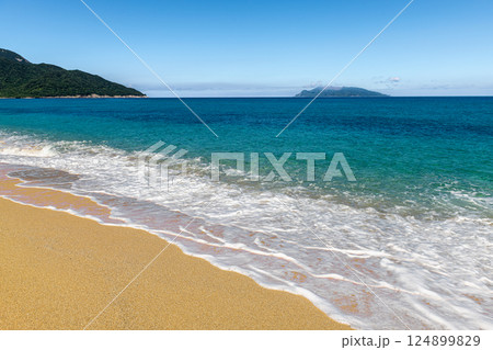 屋久島最大の海亀産卵地　夏の永田いなか浜 124899829