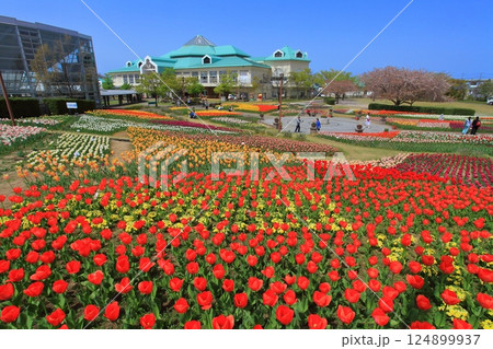 新潟ふるさと村 124899937