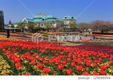 新潟ふるさと村 新潟ふるさと村 124899959